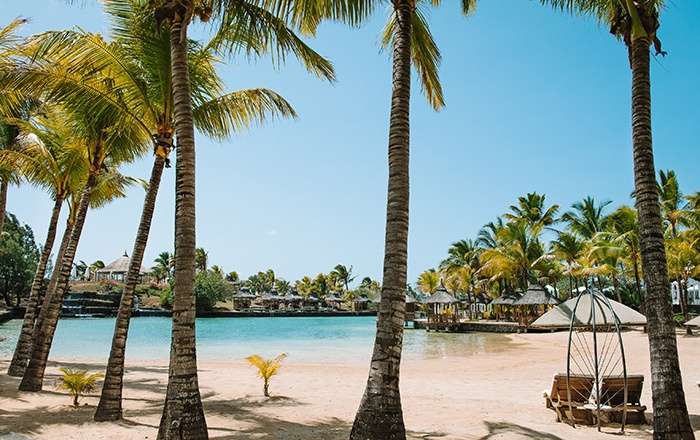 Thumbnail for image 1