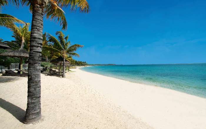 Thumbnail for image 3