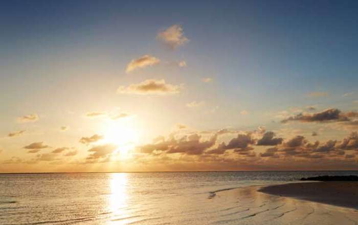 Thumbnail for image 4