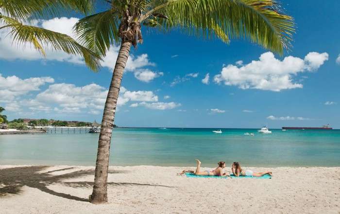 Thumbnail for image 2