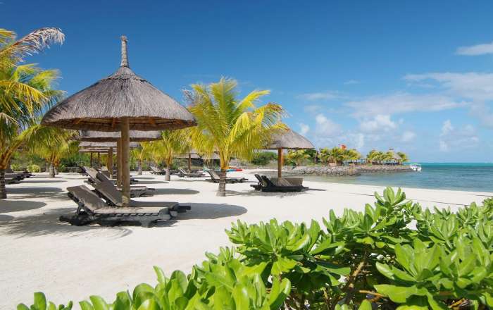 Thatched Beachfront Parasols