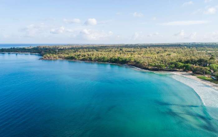 Aerial Shot of the Beach