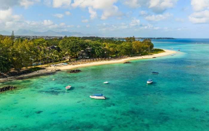 Thumbnail for image 4