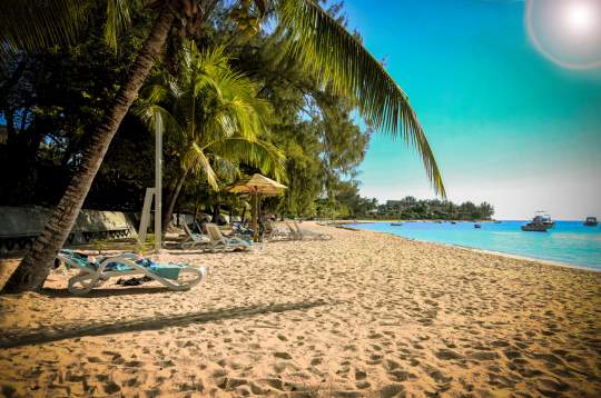 Main image of the hotel Le Palmiste Resort & Spa.