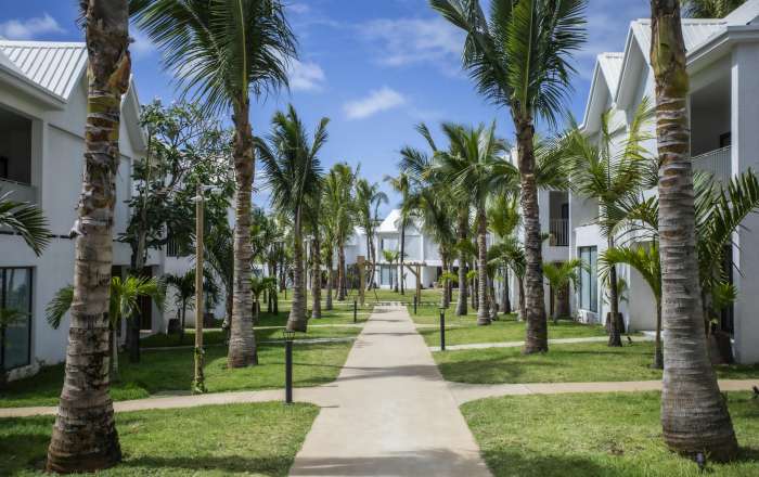 Surround Yourself with Lush Tropical Gardens