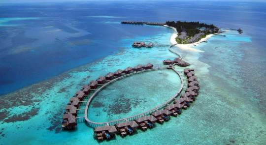 Main image of the hotel Coco Bodu Hithi.
