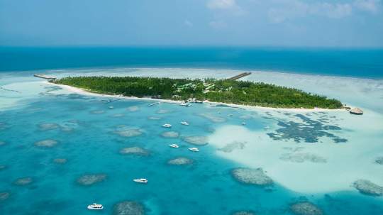 Main image of the hotel Meeru Island Resort.