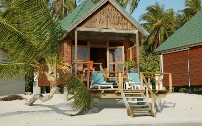 Thumbnail for image 4