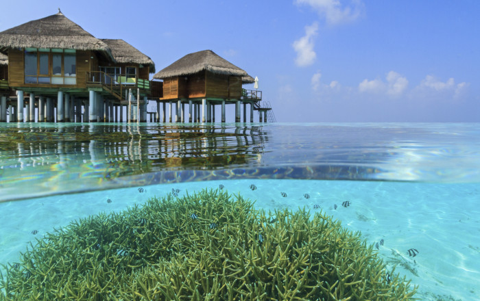 Maldives escape прохождение