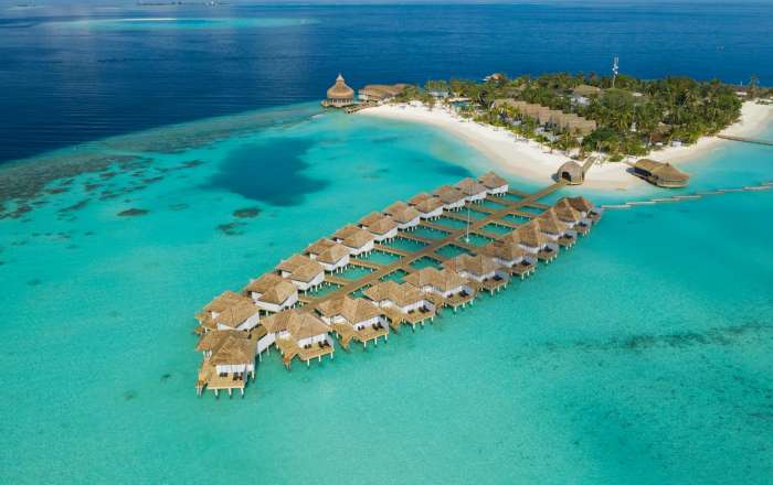 Thumbnail for image 1