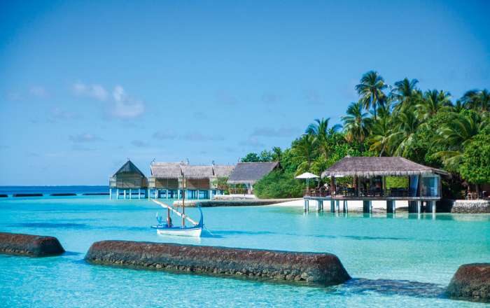 Thumbnail for image 3