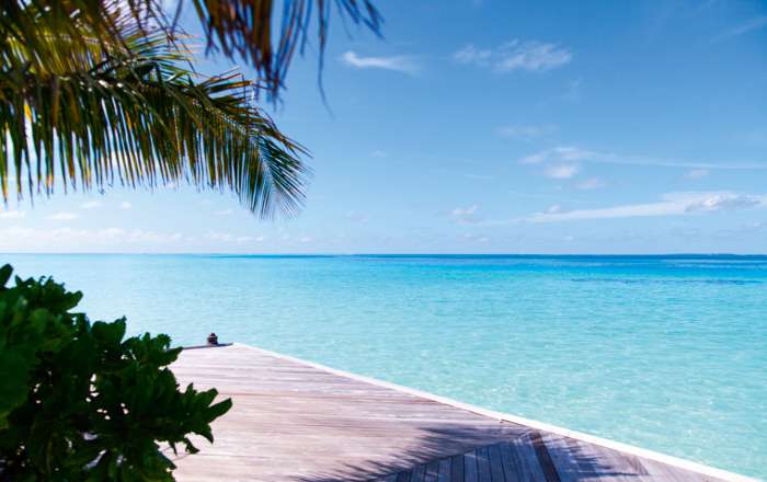 Thumbnail for image 4