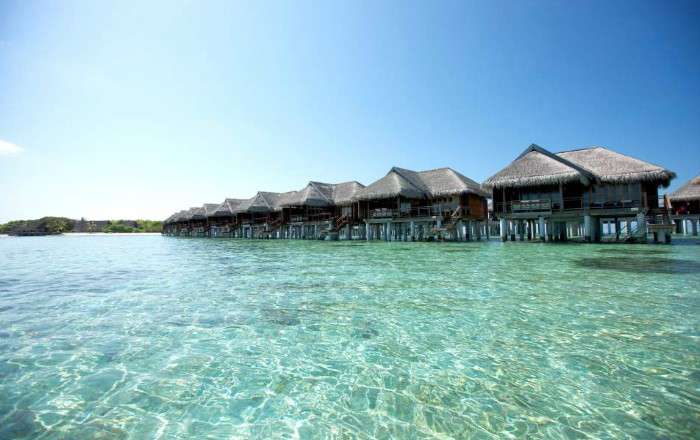 Thumbnail for image 2