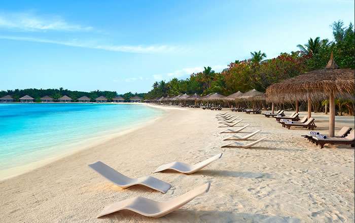 Thumbnail for image 3