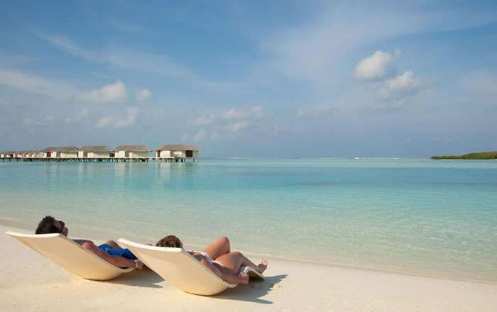 Thumbnail for image 4