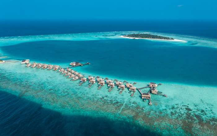 Welcome to the Exotic Island