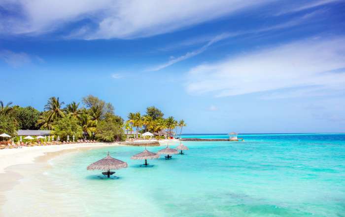 Thumbnail for image 2