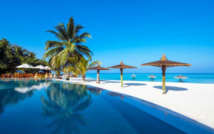 Thumbnail for image 4