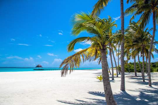 Main image of the hotel Hondaafushi Island Resort.