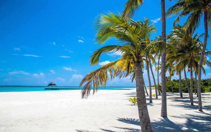 Main image for the offer: Maldives: Ultra-Boutique Private Island Experience w/FREE Beach Villa & All-Inc Upgrade, Spa Treatment & Extras - Save 50%.