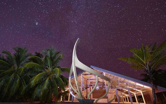 Starry Night Skies Over Reception