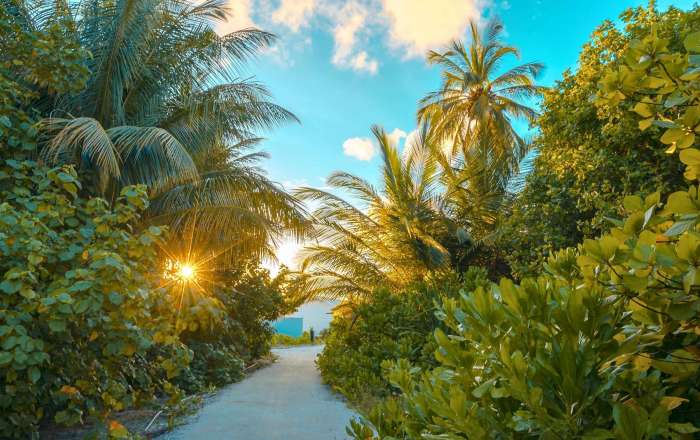 Stunning Greenery Around the Island