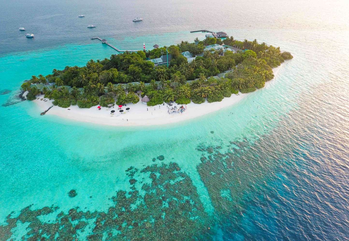 Eriyadu Island Resort Maldives | Tropical Warehouse