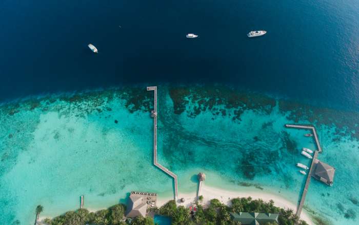 Your Paradise Awaits