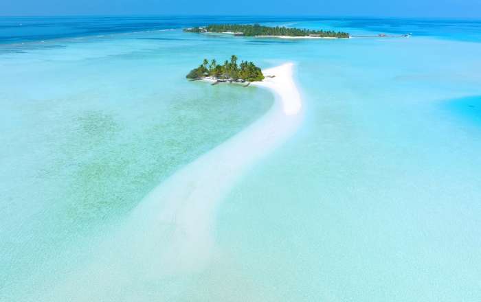 Head to Picnic Island with Your Loved Ones