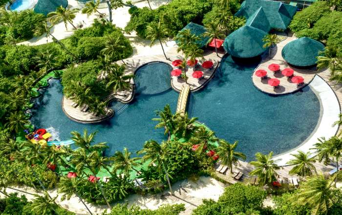 Make a Splah in the Jungali Pool