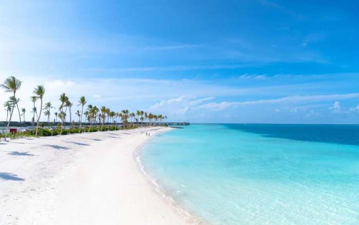 Welcome to the Island