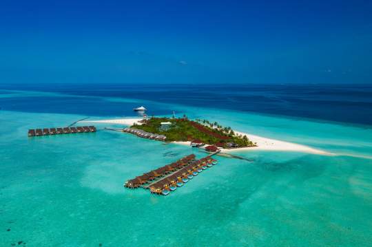 Main image of the hotel Dhigufaru Island Resort.