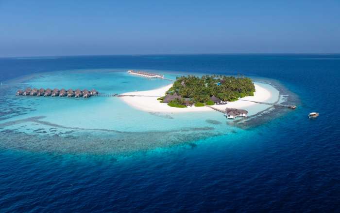 Welcome to the Island