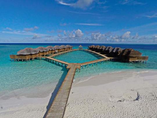 Main image of the hotel Fihalhohi Island Resort.