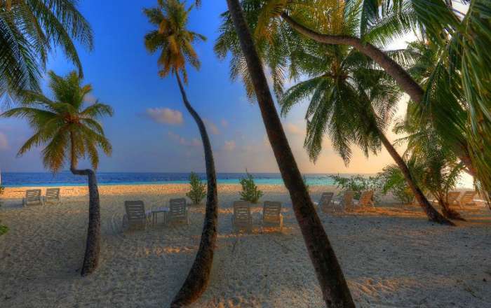 Catch a Magical Sunset in the Sand
