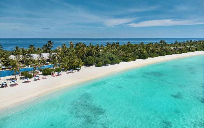 Aerial Shot of the Beach