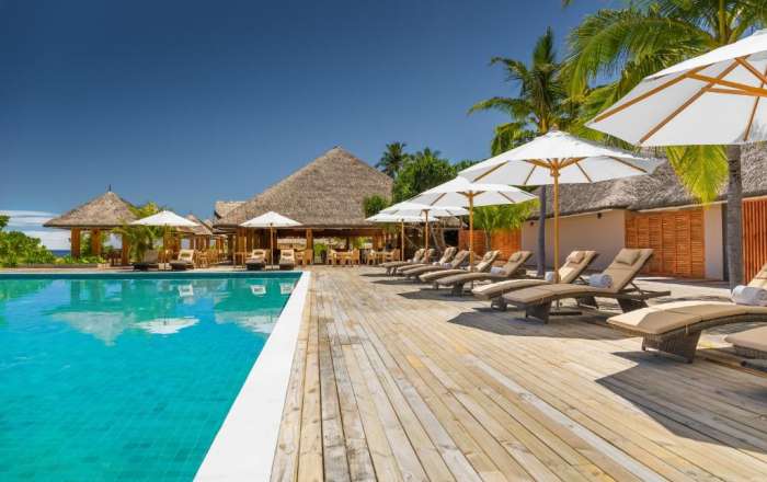 Grab a Soothing Sun Lounger