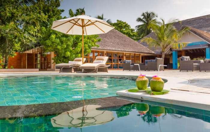 Relax Poolside with a Coconut Drink