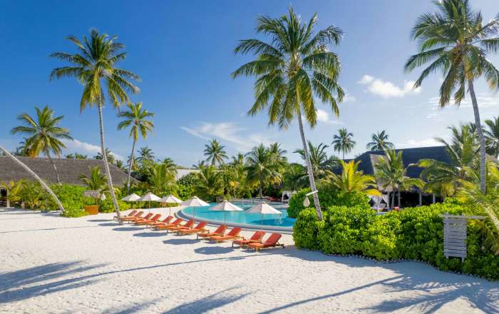 Thumbnail for image 1