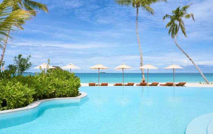 Thumbnail for image 2