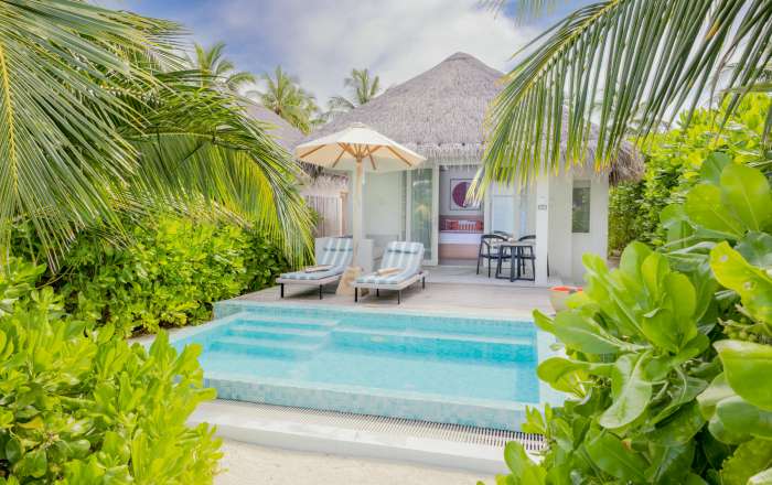 Thumbnail for image 4