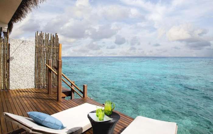 Overlooking the Ocean