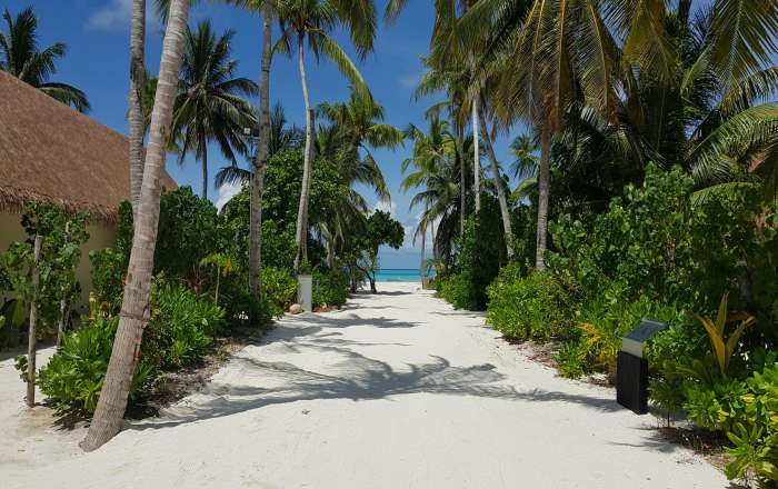 Welcome to the Island