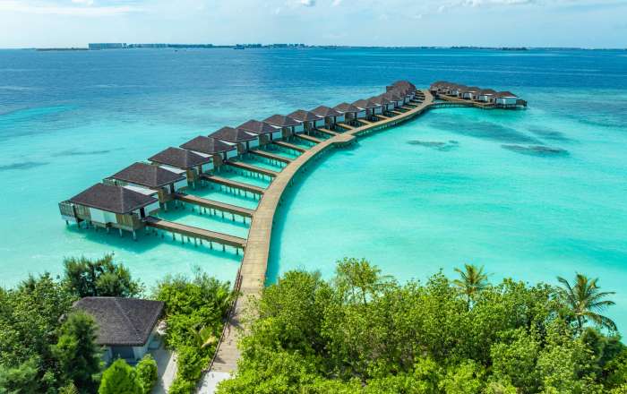 Thumbnail for image 1