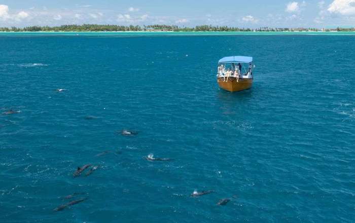 Stunning Marine Life all around