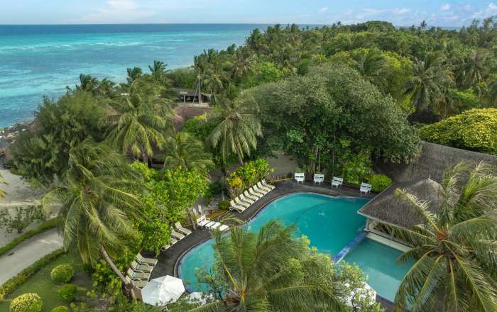 Take a Dip in the Pool