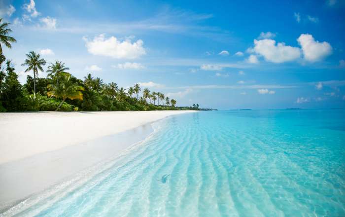 Picture-Perfect Powder White Sands