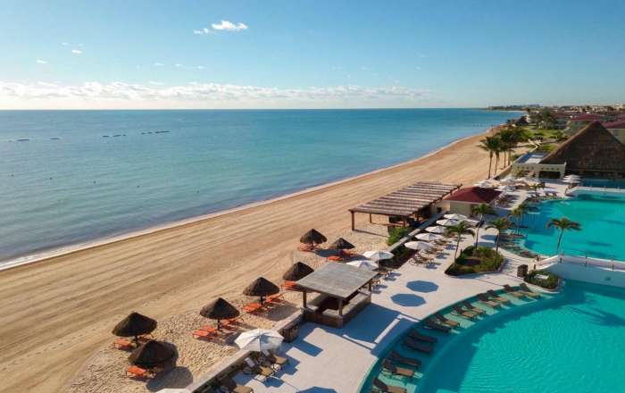 Unwind on the Stunning Stretch of Beach