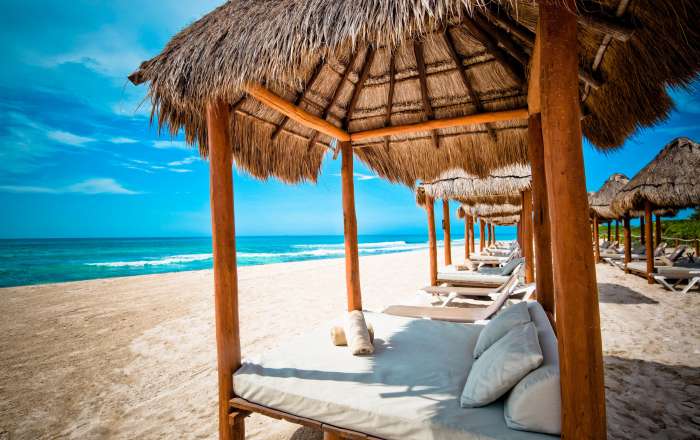 Thumbnail for image 2