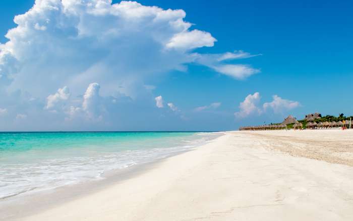 Thumbnail for image 3